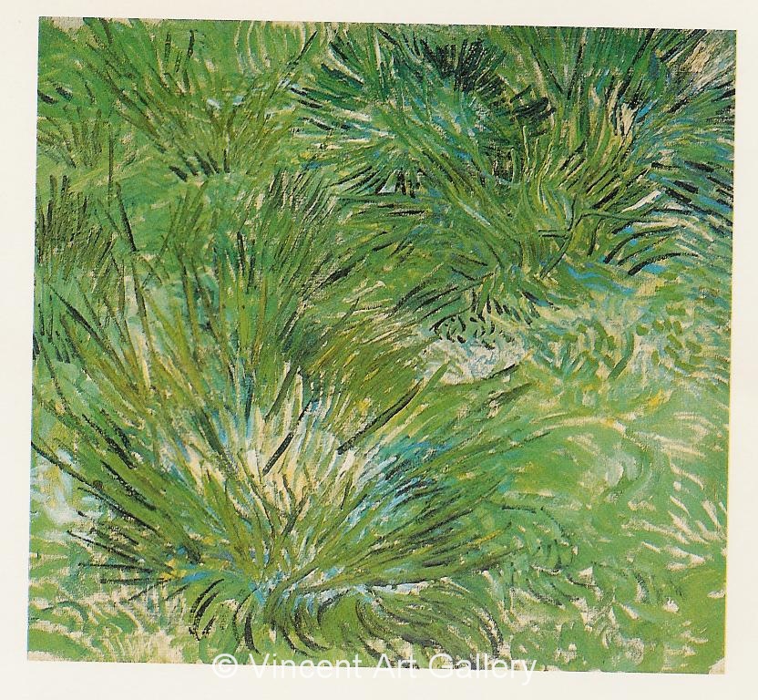 JH1678, Clumps of Grass
